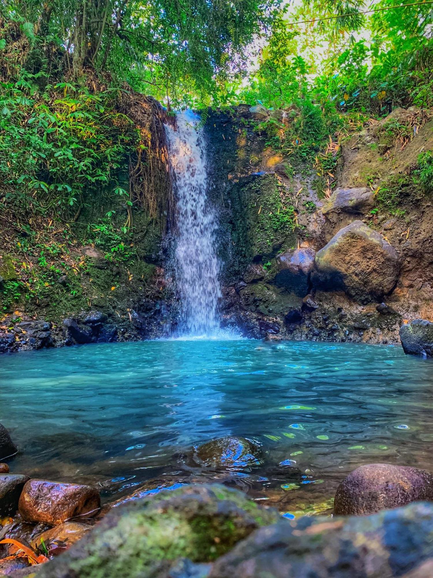 Clove Tree Hill Blimbing  Екстер'єр фото